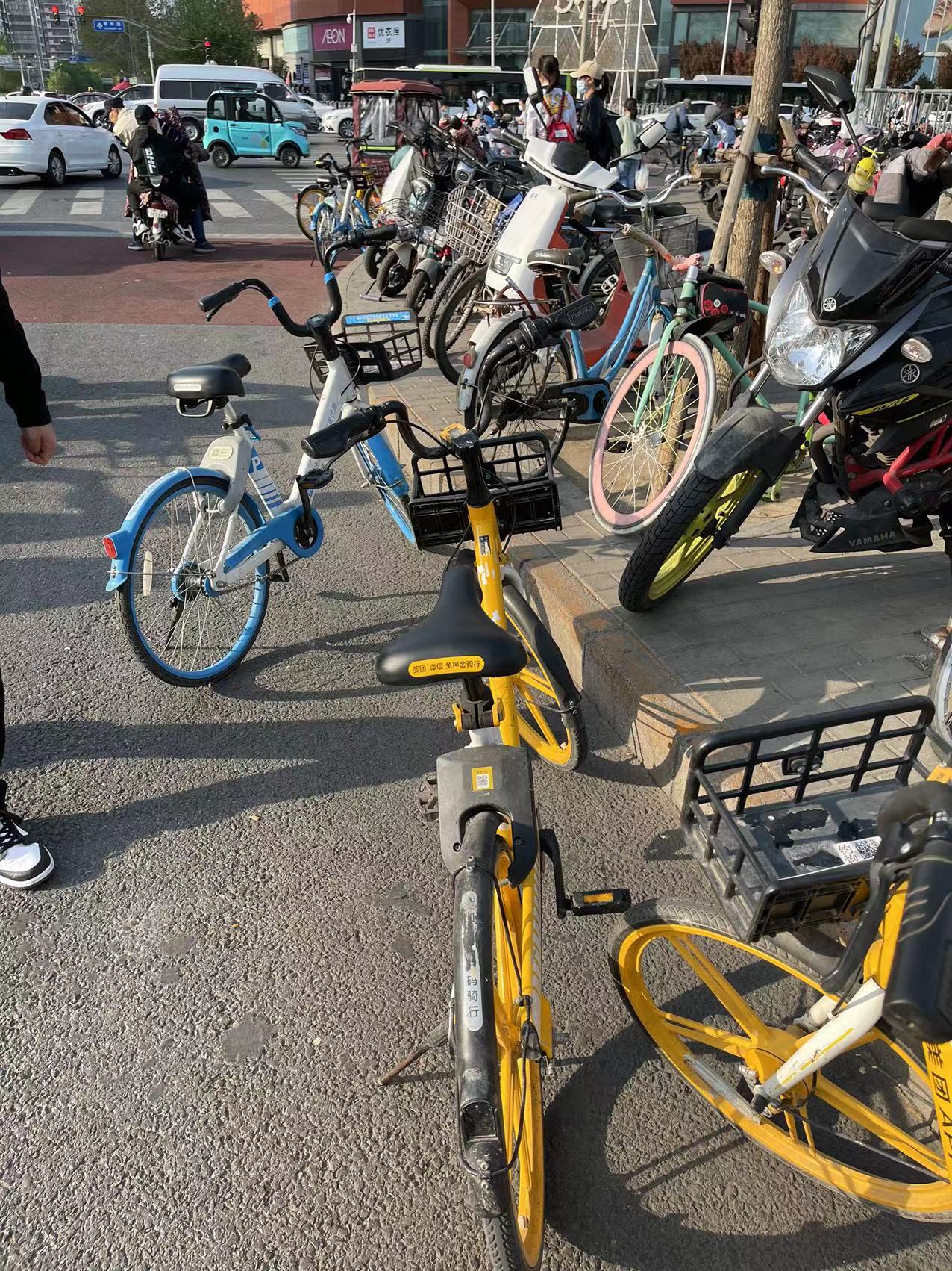 共享单车乱停放难题待解 北京319人被公示限制骑行