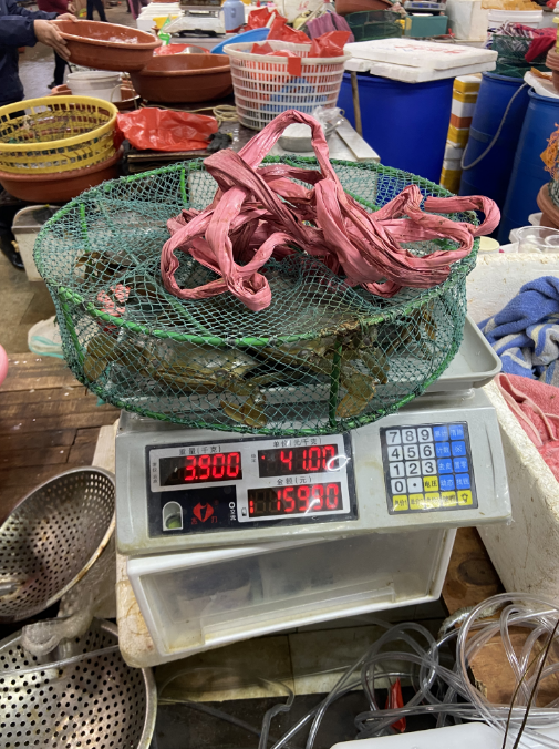 福建厦门：查处3起螃蟹过度捆绑行为 逷制“螃蟹绑大草”回潮