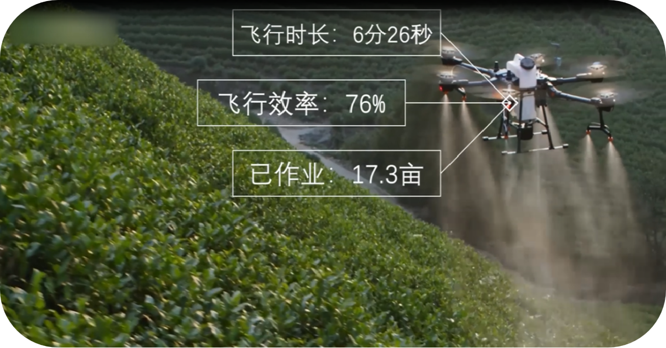 游茶镇、进食堂、逛市场 浙江杭州多点位聚焦食安建设