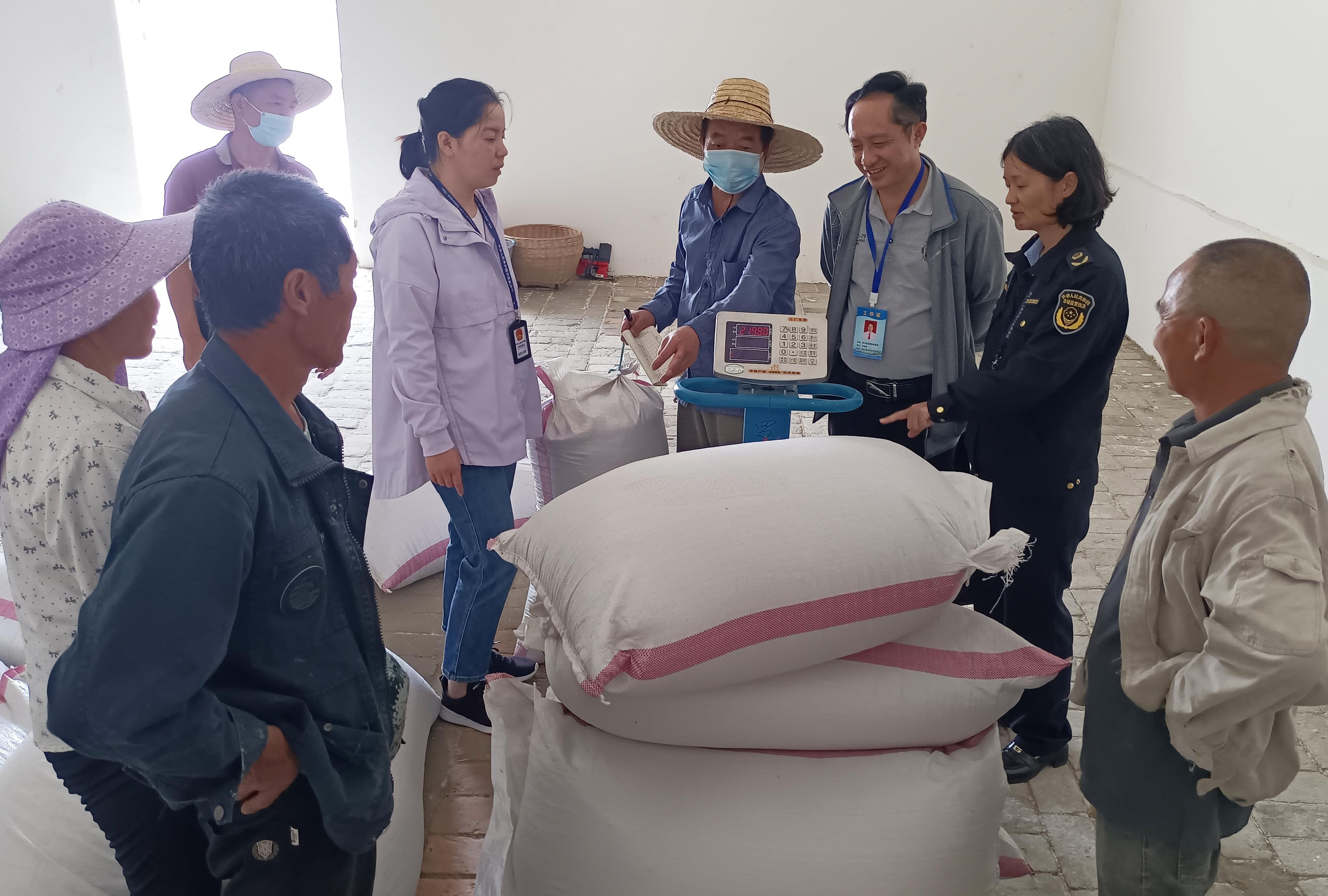  广西南丹县开展粮食收购“双随机”跨部门联合检查