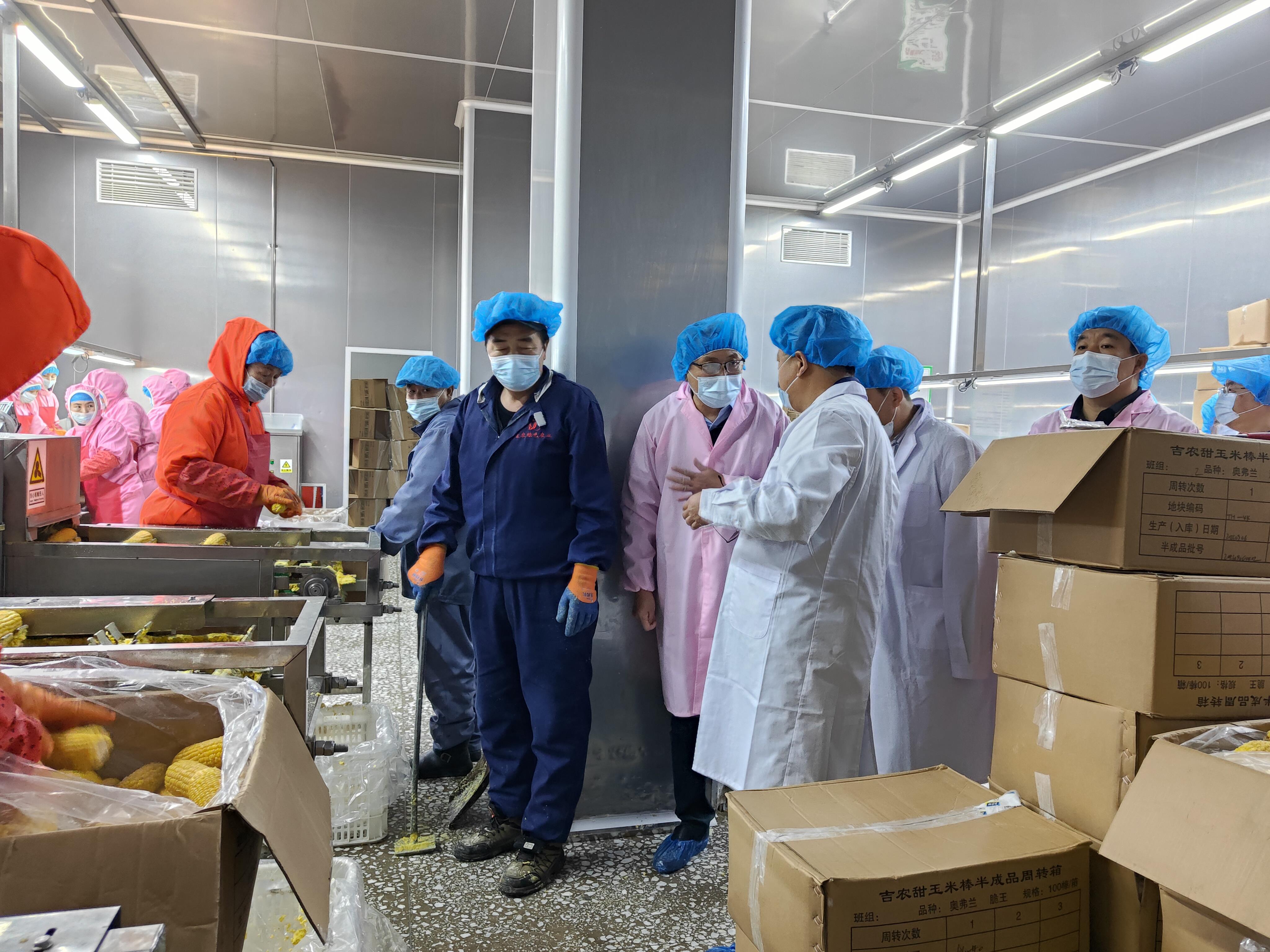  长春公主岭：开展特色资源产业高质量发展基层帮扶活动