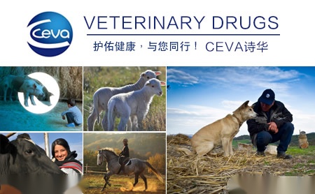 在兽药广告中说明有效率 诗华诺康公司被处罚