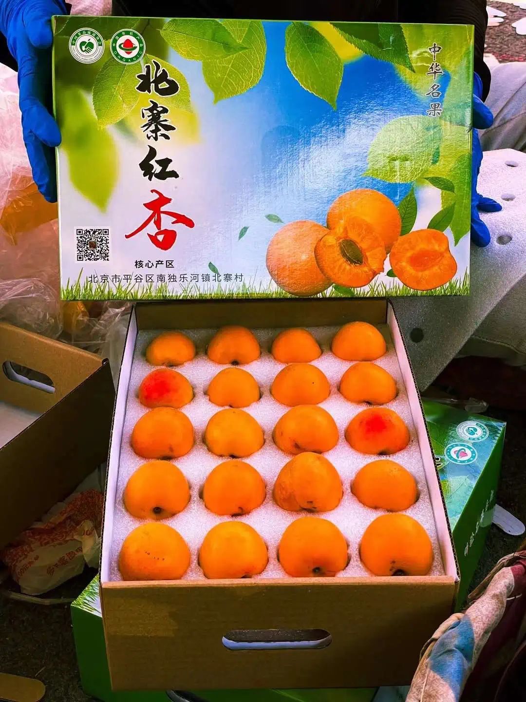  假冒“北寨红杏”，立案调查！