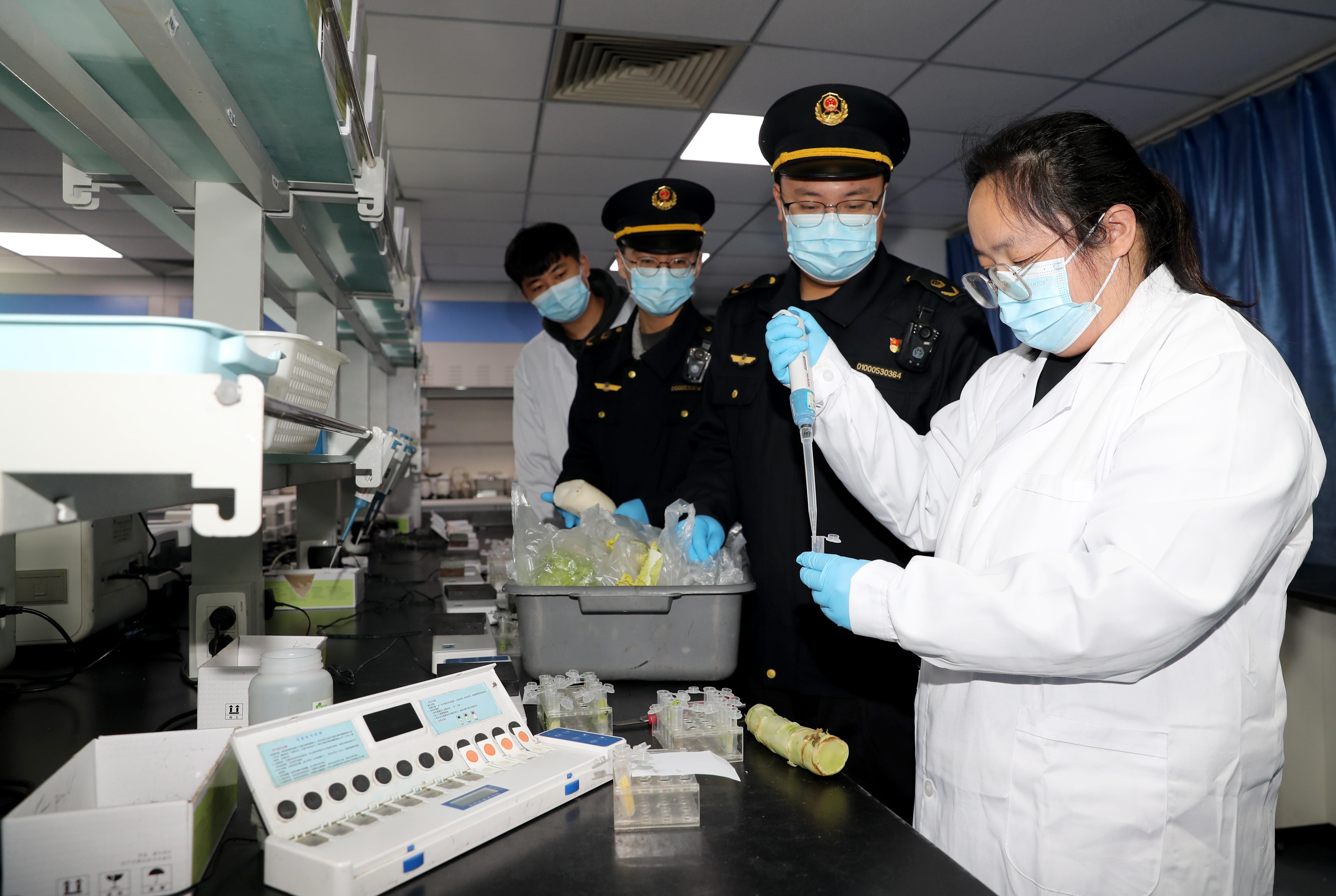 北京丰台：“你点我检”守护食品安全