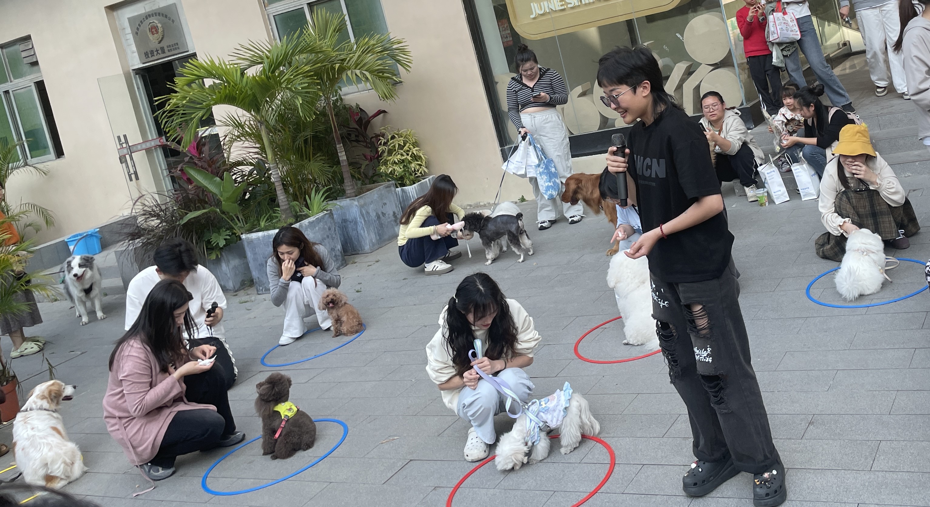  广东深圳龙岗举行萌宠主题活动：用宠物经济点燃城市商业新活力