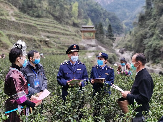  “小金灵”上线助力你的换“城”计划_