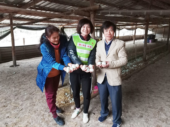村民脱贫致富领头“燕” 记广西市场监管局驻三江县独峒镇平流村第一书记梁燕