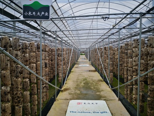 10个关键词 看懂2020年环境监测行业