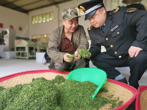  重庆铜梁：打造茶叶金字招牌 助力乡村全面振兴